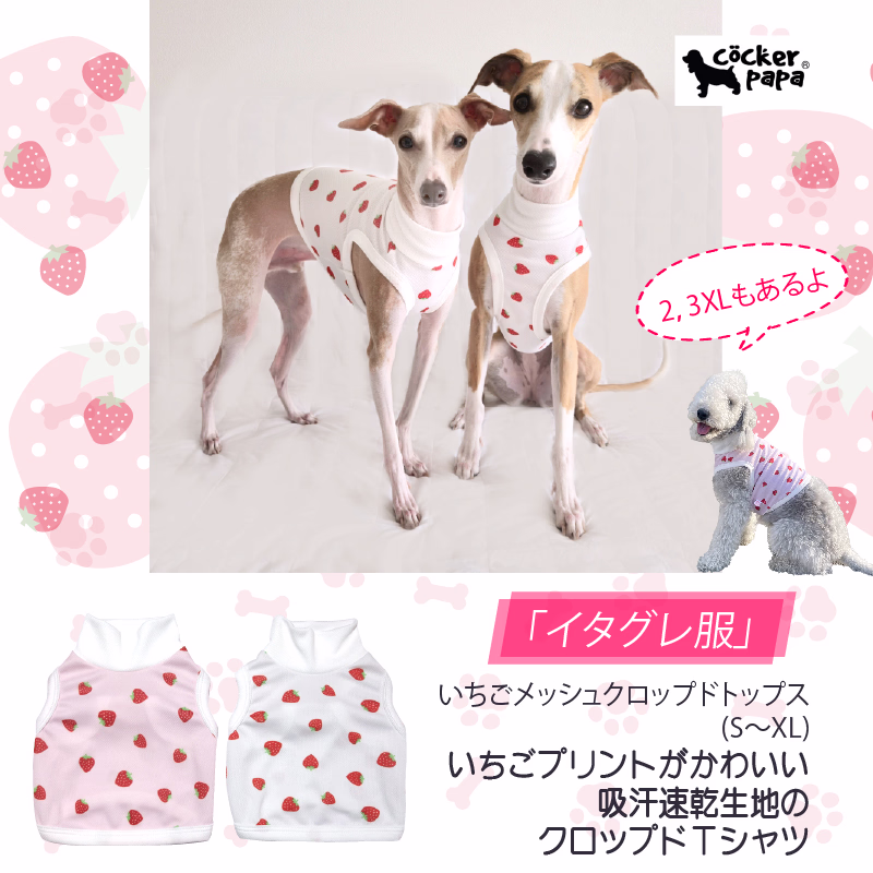 広告バナー1