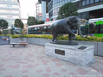 吉祥寺ゾウのはな子銅像付近の座れる休憩場所