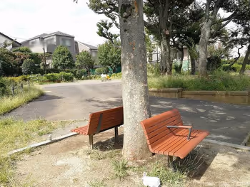 どんぐりひろば公園のベンチからの景観