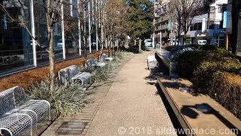 東京電機大学2号館裏手側