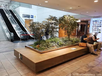 渋谷マークシティ4F 井の頭線アベニュー改札口エスカレーター付近