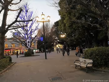 上野恩賜公園のイルミネーションとベンチ