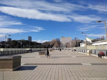 パンダ橋口から上野公園を眺めた景観