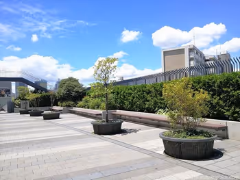 ソラマチ4F西エントランス前のベンチ