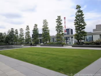 銀座シックス屋上庭園の芝生