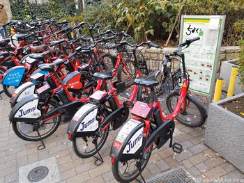 芳林公园的chiyokuru