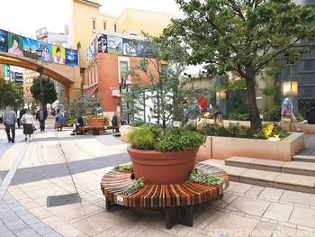 가와사키 라치타데라의 치네치타 거리 원형 벤치