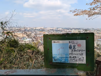 日向山山頂の写真4