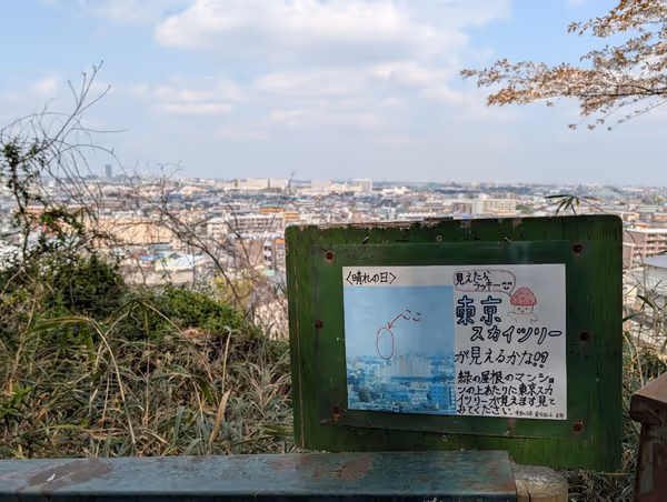 日向山山頂の写真4