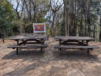 日向山山頂の写真2