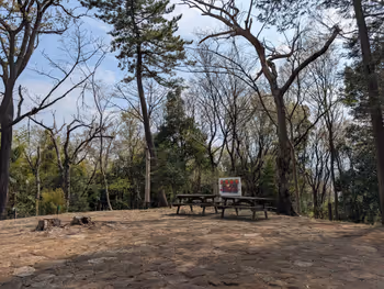 【生田駅】日向山山頂
