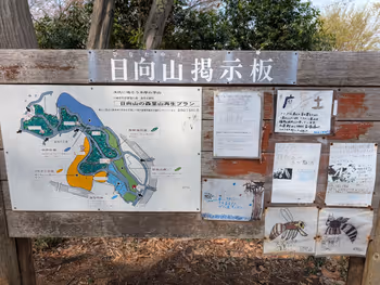 日向山山頂の写真3