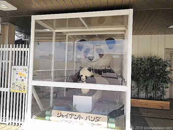 パンダ橋のジャイアントパンダ