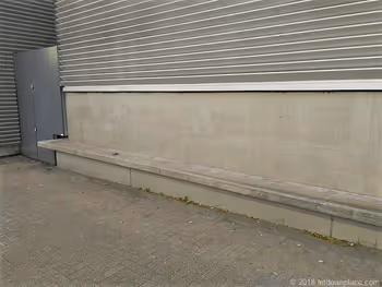 Concrete bench in Sakura Terrace