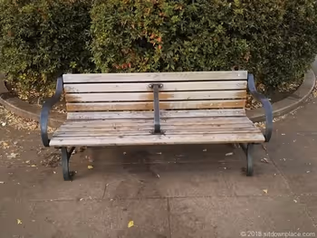 上野恩賜公園のベンチ