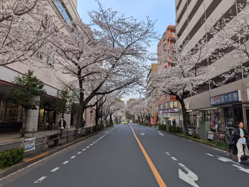 境南通り 武蔵境駅南口交差点付近の写真2