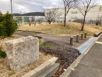 向井山公園の写真3