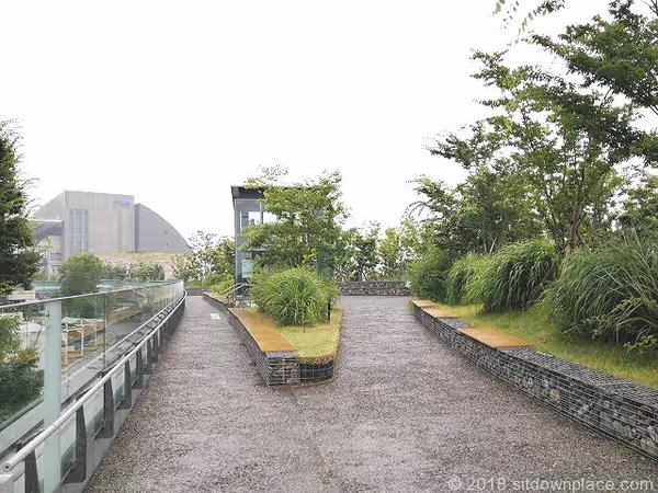 ライズ ルーフガーデン3F 菜園広場の写真3