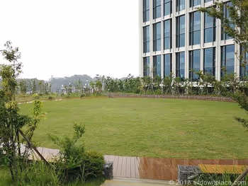 二子玉川ライズルーフガーデン5F原っぱ広場