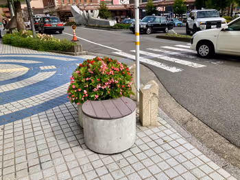 南口側 水都大垣 集いの泉周辺の写真1