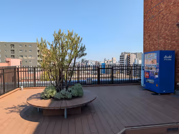 そらいどひろば デッキ広場の写真6