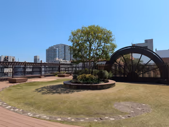 そらいど広場 芝生広場の写真1