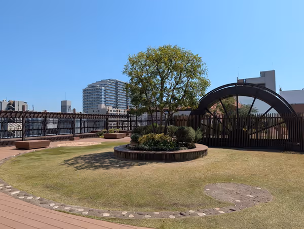 そらいど広場 芝生広場の写真1