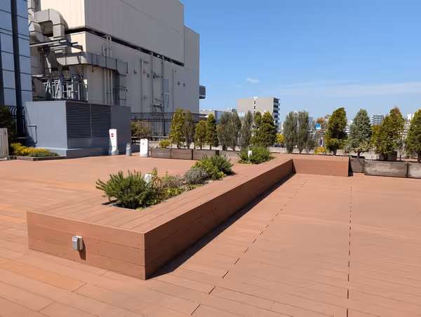 そらいど広場 芝生広場の写真6