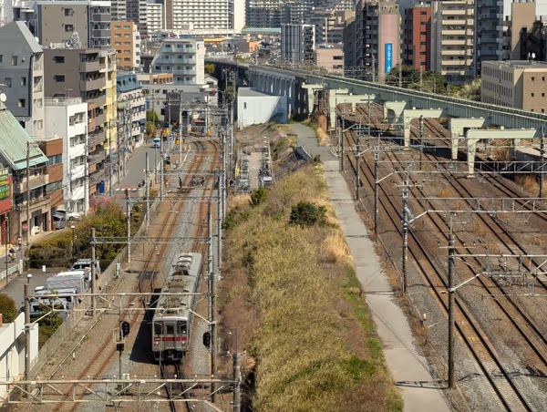 そらいど広場 芝生広場の写真3