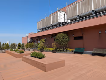 そらいど広場 芝生広場の写真8