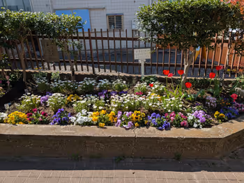 亀戸三丁目公園の写真2