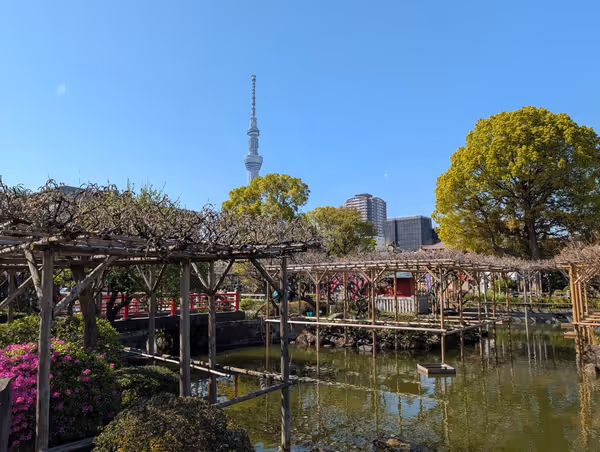 亀戸天神社の写真6