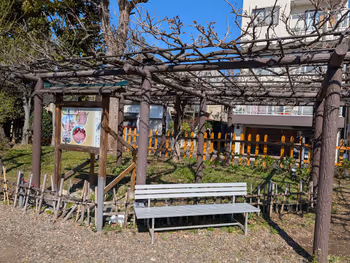 亀戸天神社の写真4