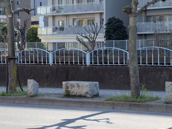 横十間川 天神橋-錦糸橋間の写真2