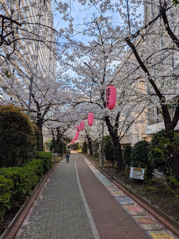 亀戸緑道公園 京葉道路側の写真5