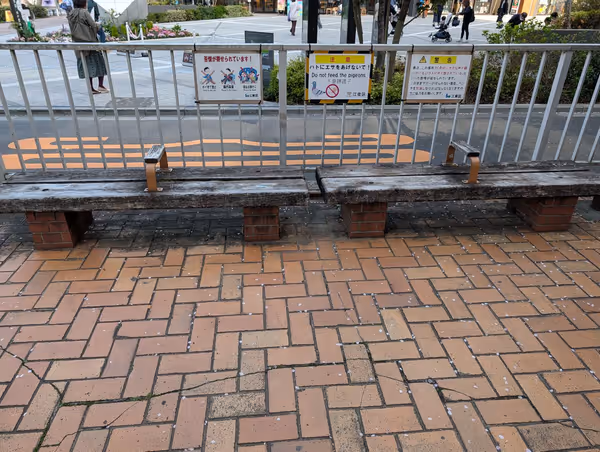 亀戸緑道公園 京葉道路側の写真4