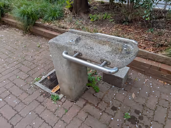 亀戸緑道公園 亀戸五之橋東の写真4