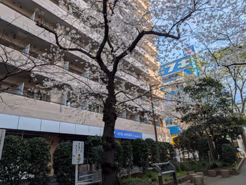 亀戸緑道公園 亀戸五之橋東の写真5