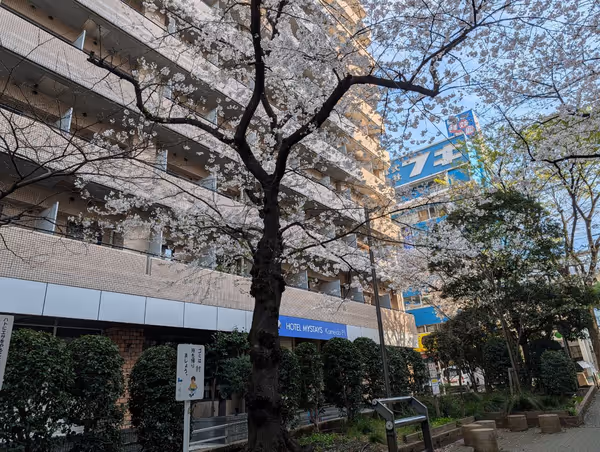 亀戸緑道公園 亀戸五之橋東の写真5