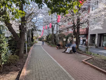 亀戸緑道公園 中間部の写真3