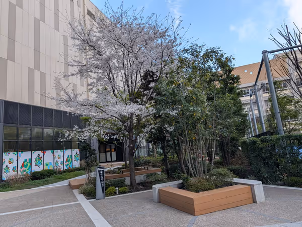 カメクロステージの写真4