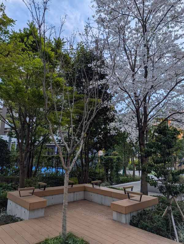 カメクロステージの写真5