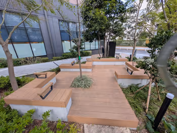 カメクロステージの写真3