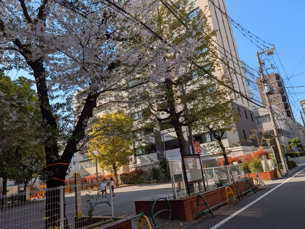 亀戸二丁目公園の写真3