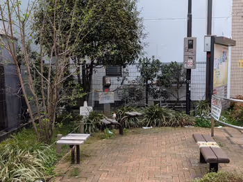 若林なつつばき公園の写真1