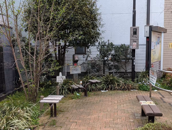 若林なつつばき公園の写真1