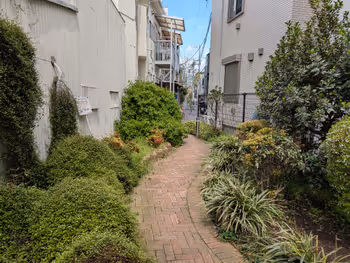 若林なつつばき公園の写真3