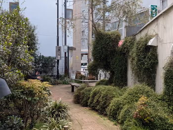 若林なつつばき公園の写真4