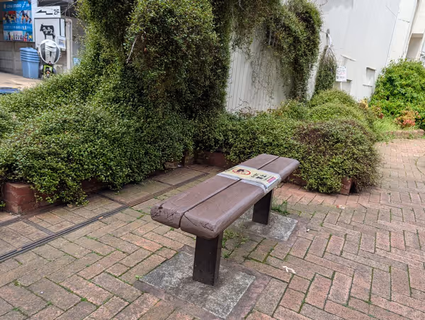 若林なつつばき公園の写真5