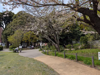 松陰神社横芝生の写真4